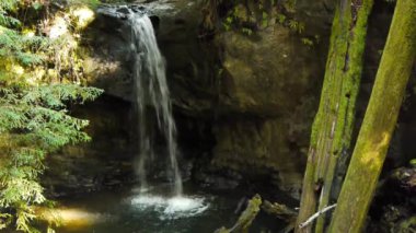 Kırmızı Woods şelaleler