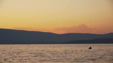 alacakaranlıkta mono Gölü