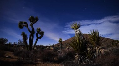 Maltepe ve ay ışığında avize
