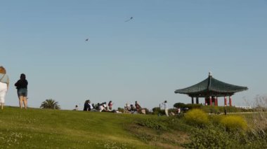 uçurtma ile Parkta piknik