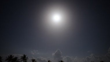 ay gece tropikal ormanda