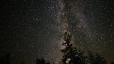 Alp orman üzerinde Samanyolu