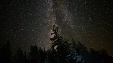 Alp orman üzerinde Samanyolu