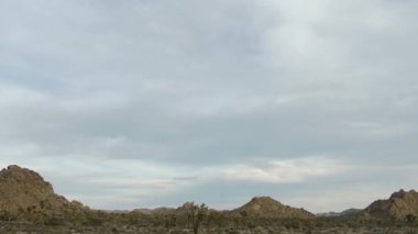 Joshua tree national park peyzaj