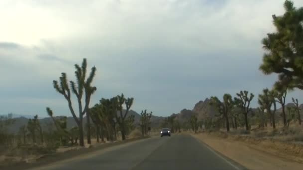 Guidare attraverso il Parco Nazionale di Joshua Tree — Video Stock