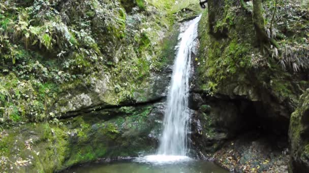 Waterval in diepe bossen — Stockvideo