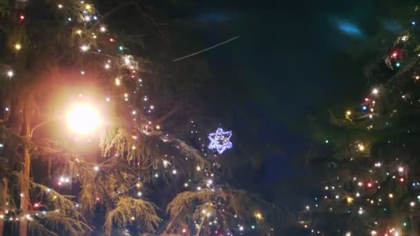 Christmas Illumination — Stock Video