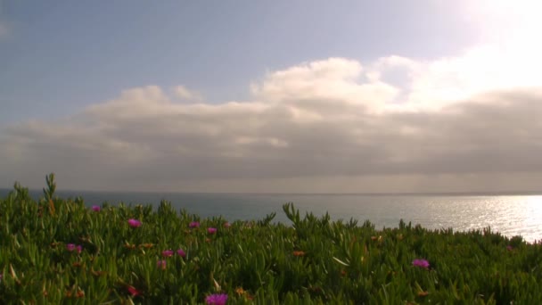 Wolken op het strand in san diego — Stockvideo