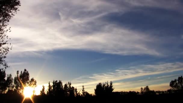 Sonnenuntergang im Weinberg — Stockvideo