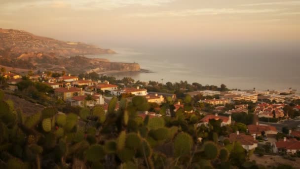 Sunset Shoreline Cliffs — Stock Video