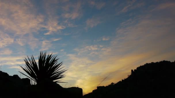 Nascer do sol no deserto — Vídeo de Stock