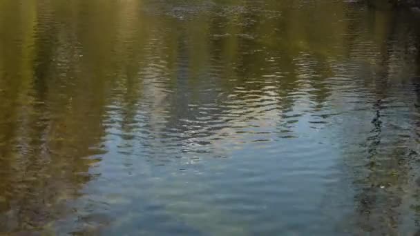 Fluss spiegelt halbe Kuppel wider — Stockvideo