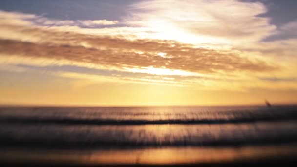 Playa dorada al atardecer — Vídeo de stock