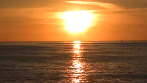 Praia dourada ao pôr do sol — Vídeo de Stock