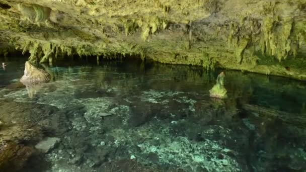 Sacred Mayan Cenote — Stock Video