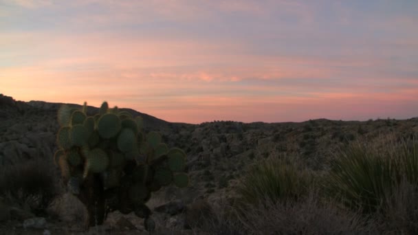 砂漠の日の出 — ストック動画