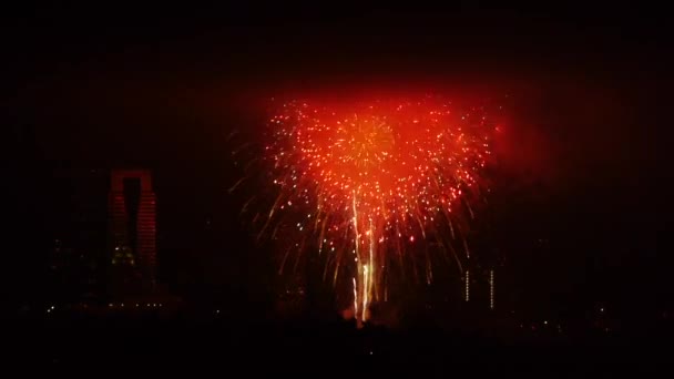 Fireworks sköt i los angeles — Stockvideo