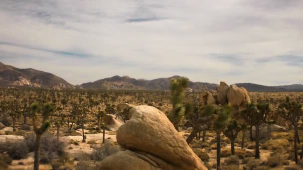 约书亚树沙漠 cloudscape — 图库视频影像