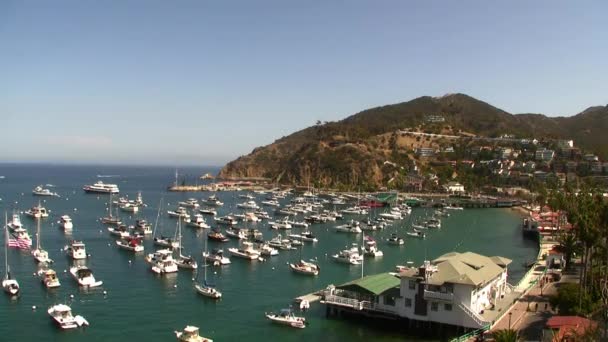 Catalina Island Resort Island cove zaman atlamalı — Stok video