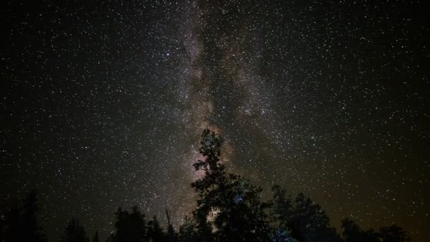 Milchstraßengalaxie über Alpenwald — Stockvideo