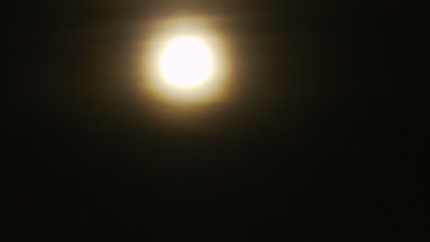Réglage de la pleine lune dans Palmier . — Video