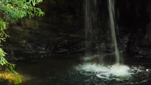 Wasserfälle im roten Wald — Stockvideo