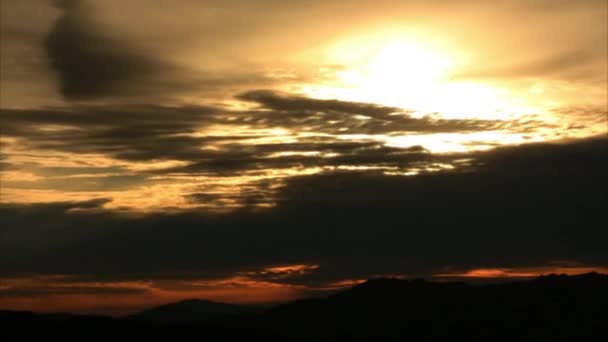 Deserto de Joshua Tree — Vídeo de Stock