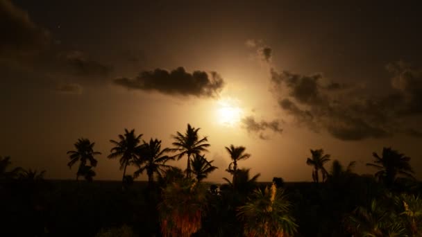 Tropikalny księżyc prawie — Wideo stockowe