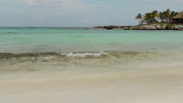 Playa del arrecife de coral tropical — Vídeos de Stock