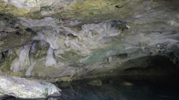 Cenote Maya Sagrado en la Península de Yucatán — Vídeo de stock