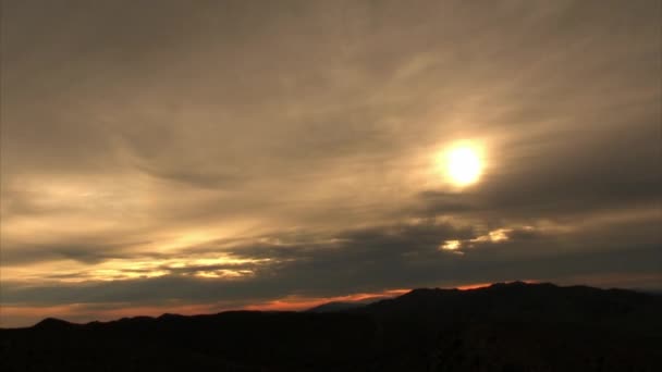 Deserto de Joshua Tree — Vídeo de Stock