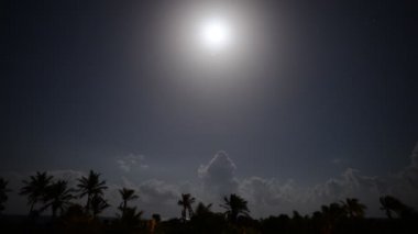 tropikal ay ışığı gece