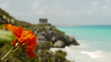 tropik sahilde bir tulum Maya harabe
