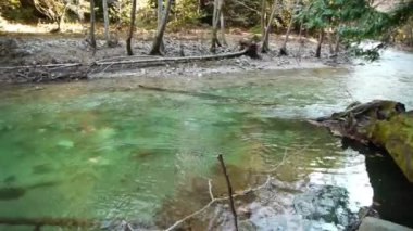 Big sur Nehri