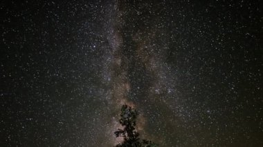Alp orman üzerinde Samanyolu