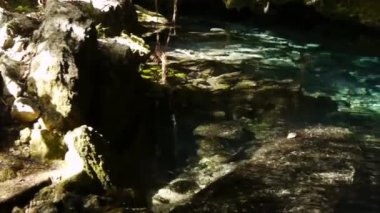 Kutsal Maya hipotermik