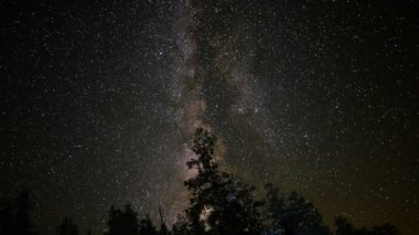 Alp orman üzerinde Samanyolu