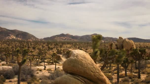 Joshua tree öken molnlandskap — Stockvideo