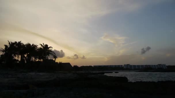 Günbatımı ile tropikal palmiye ağacı — Stok video