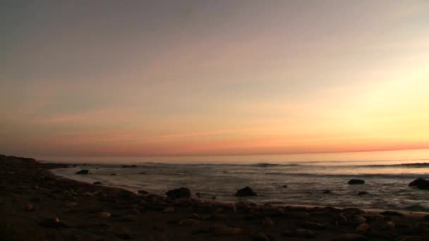 Playa de elefantes marinos — Vídeos de Stock