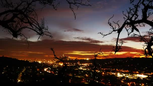 La stadslichten met Boom silhouet — Stockvideo