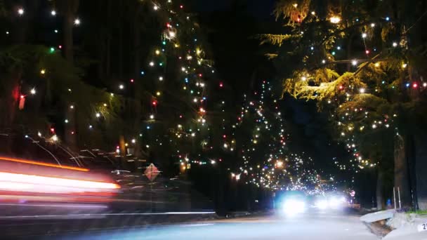 Weihnachtsbeleuchtung — Stockvideo