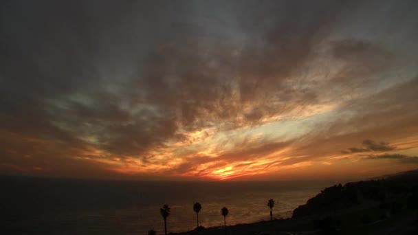 Coucher de soleil plage — Video