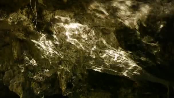 Sacred Mayan Cenote — Stock Video