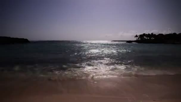 Tropical Coral Reef Beach at Night — Stock Video