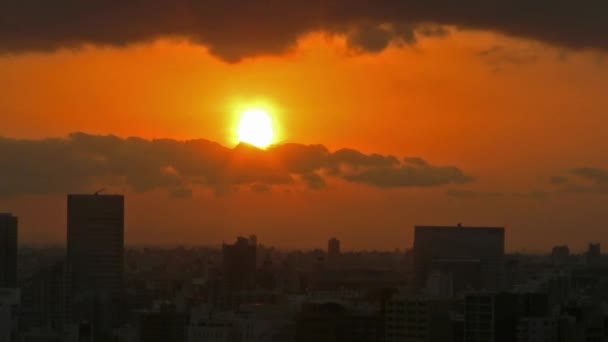 Город Токио — стоковое видео