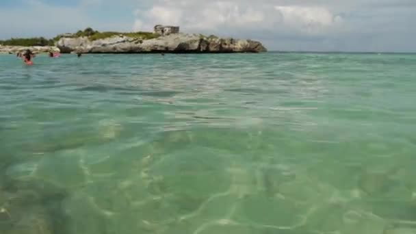 열 대 산호초 해변 — 비디오