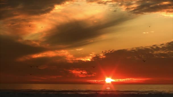 Пляж заходу сонця — стокове відео