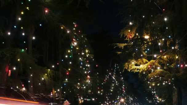 圣诞照明 — 图库视频影像