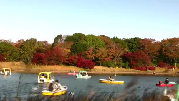 Árvores de bordo japonesas por lagoa com barcos — Vídeo de Stock